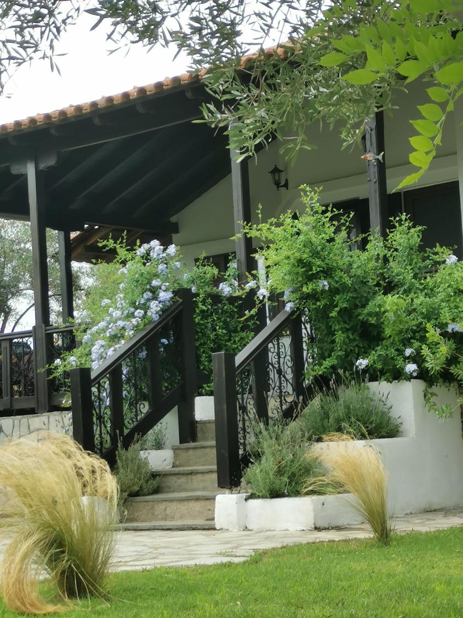 אורמוס פנגיאס Villa Joy מראה חיצוני תמונה